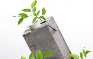 MedioAmbiente