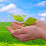 educacion-ambiental-y-desarrollo-sustentable