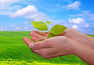 educacion-ambiental-y-desarrollo-sustentable